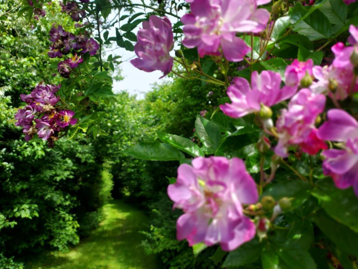 Uylkenshof Safaritenten En Natuurhuisjes إبّ المظهر الخارجي الصورة