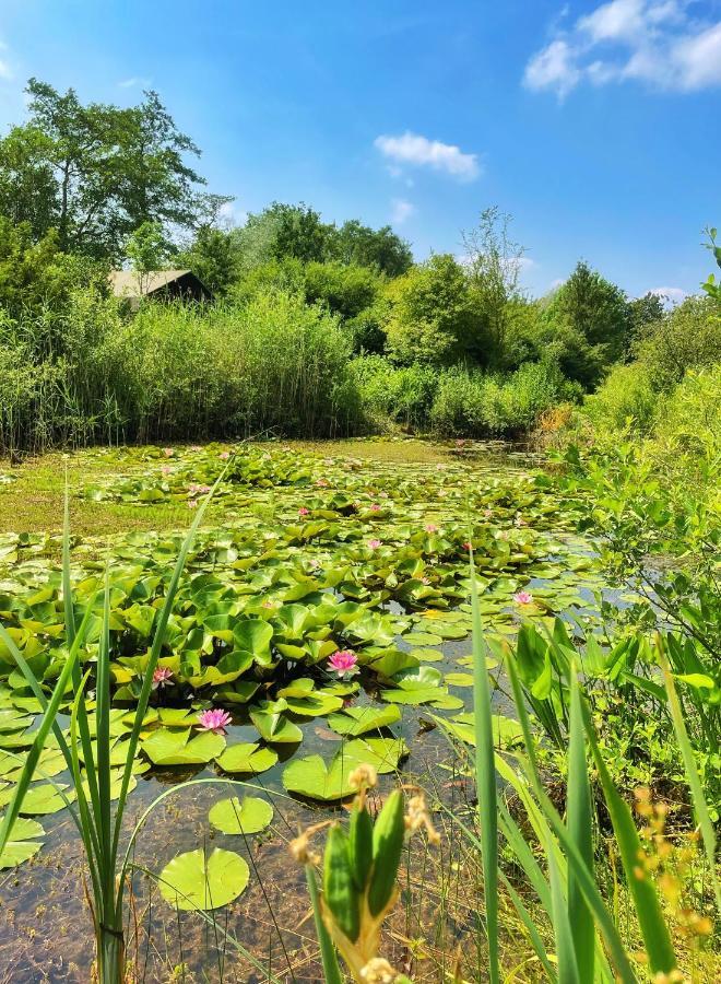 Uylkenshof Safaritenten En Natuurhuisjes إبّ المظهر الخارجي الصورة